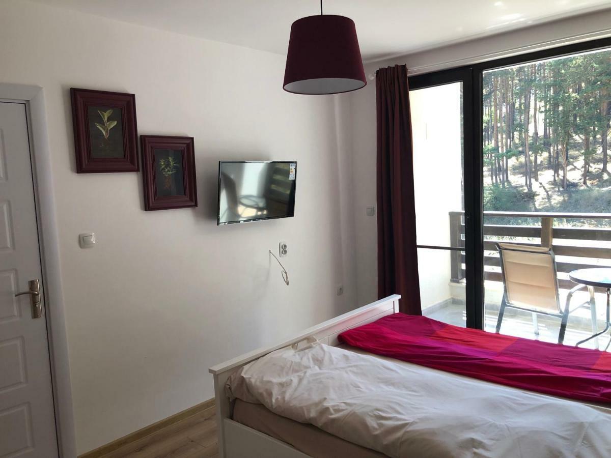 Borov Park 3 Apartment Velingrad Ngoại thất bức ảnh