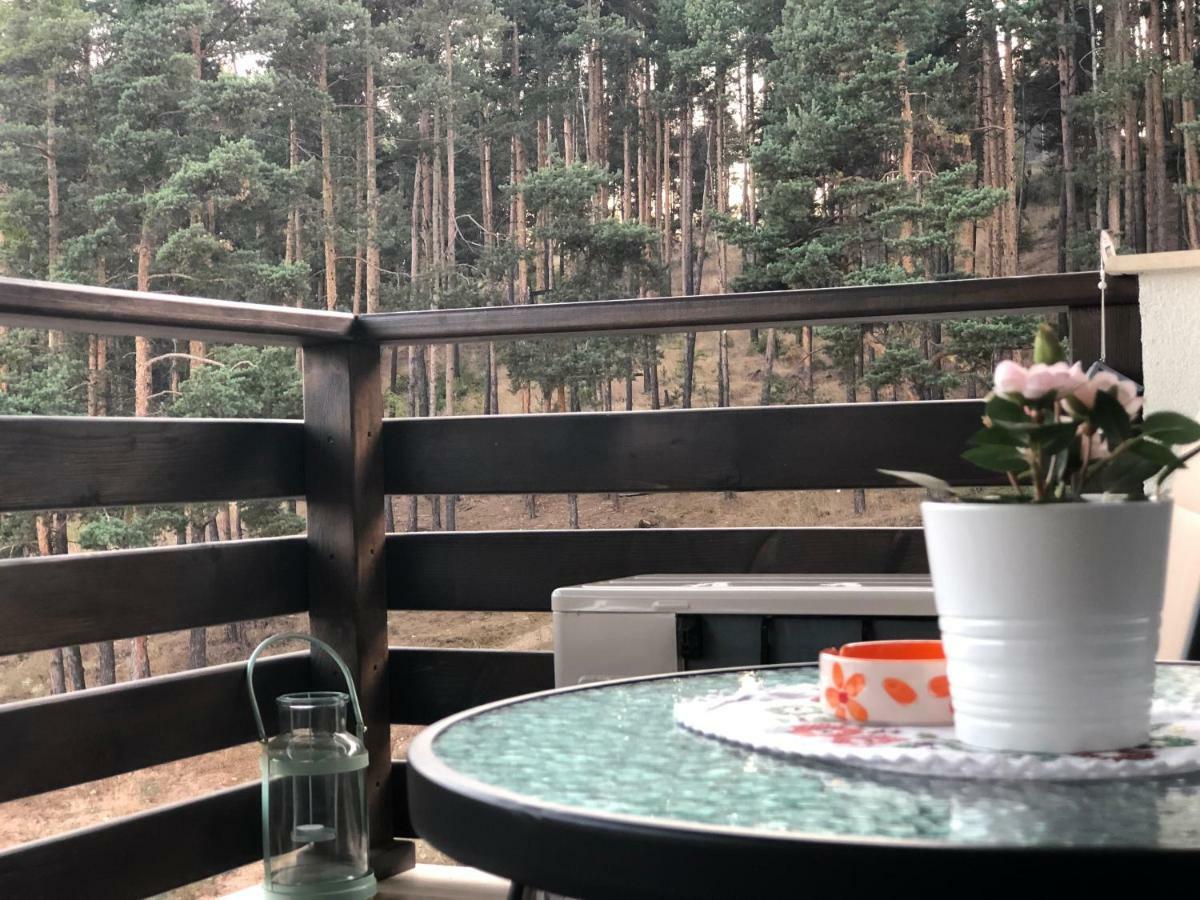 Borov Park 3 Apartment Velingrad Ngoại thất bức ảnh