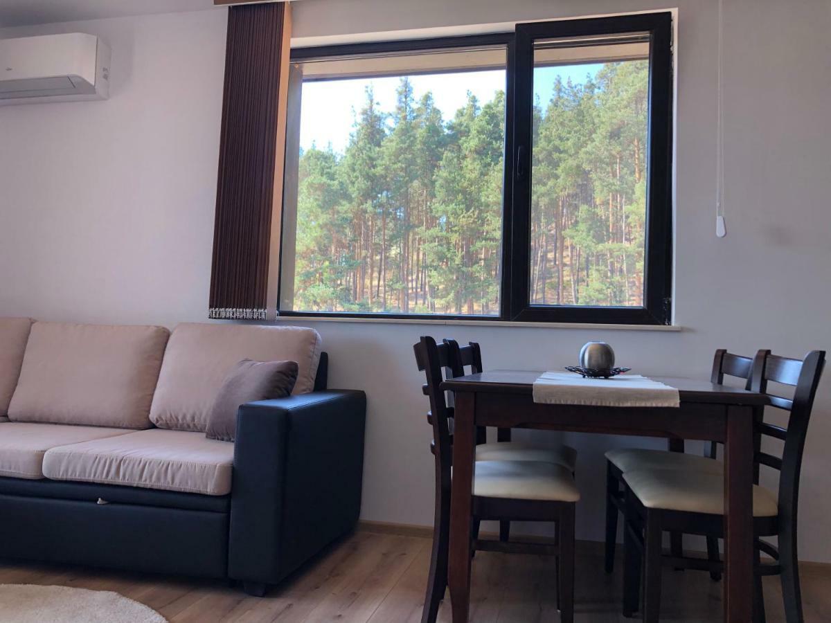 Borov Park 3 Apartment Velingrad Ngoại thất bức ảnh