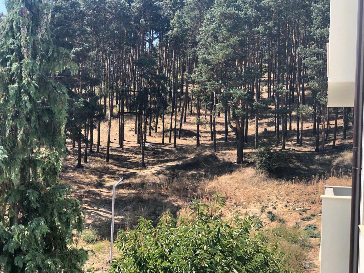 Borov Park 3 Apartment Velingrad Ngoại thất bức ảnh