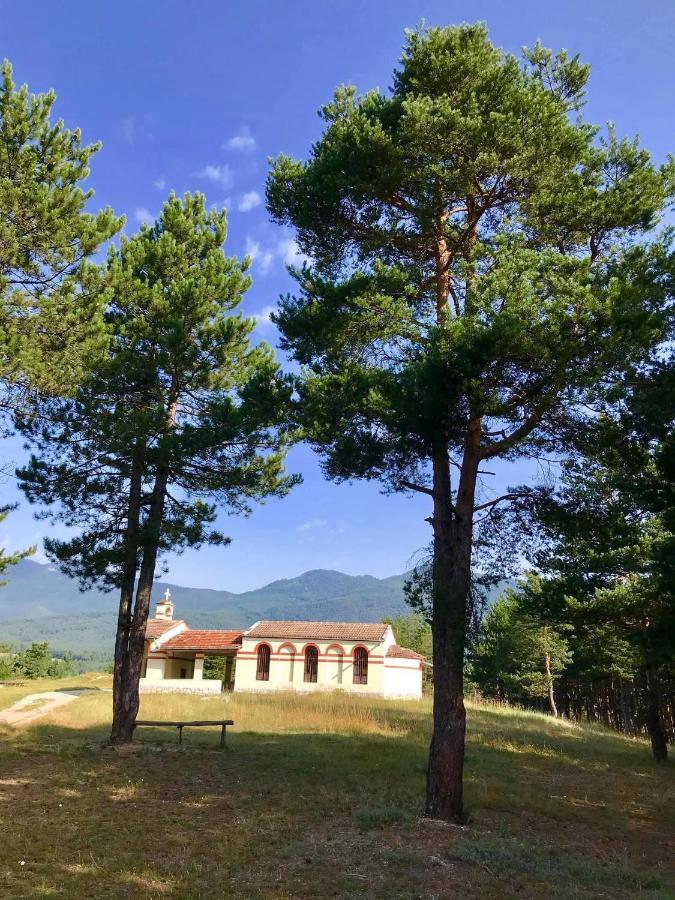 Borov Park 3 Apartment Velingrad Ngoại thất bức ảnh
